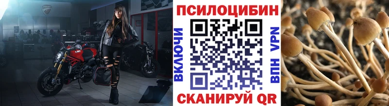 Купить  Катав-Ивановск  Псилоцибиновые грибы ЛСД 